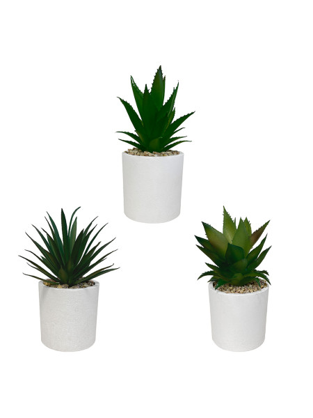 Lot de 3 plantes artificielles succulentes - pot blanc