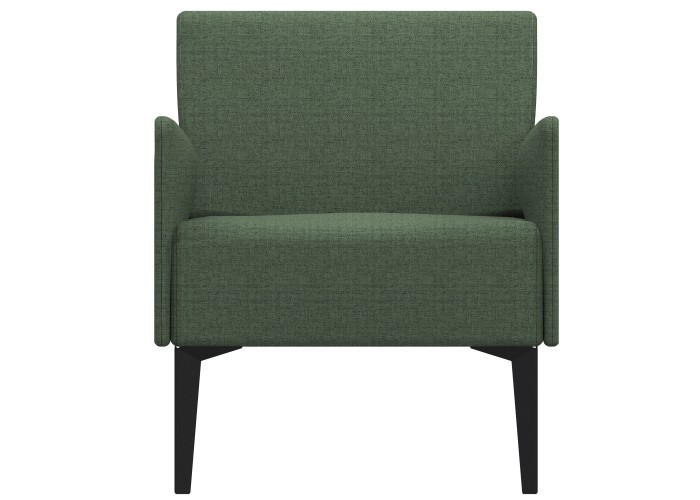 Fauteuil Vert Forêt